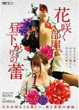 日剧网剧东京第七码封面